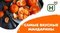 Как выбрать идеальные мандарины: секреты зимнего выбора