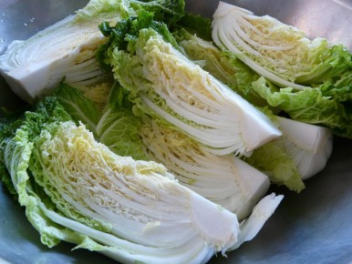 �����: ������ �����, ������� �������� ���