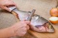 Вкусные идеи для приготовления свежевыловленной рыбы