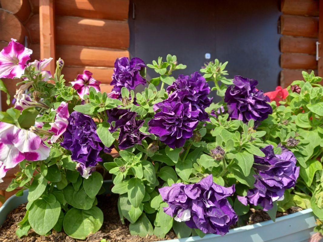 �������� ���� �����: ��� ��������� ��������� ���������