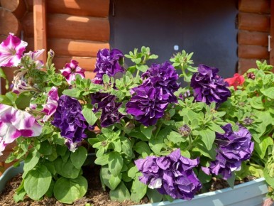 Экономия ради мечты: как научиться управлять финансами