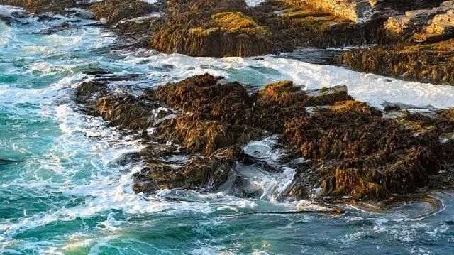 ��������� ���������� ����� ������ ������������� ���������� ��� ���������� ��������