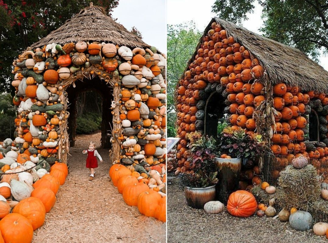 ������� ��������� ���������: ����������� ��������� � ������� �� ����� ����