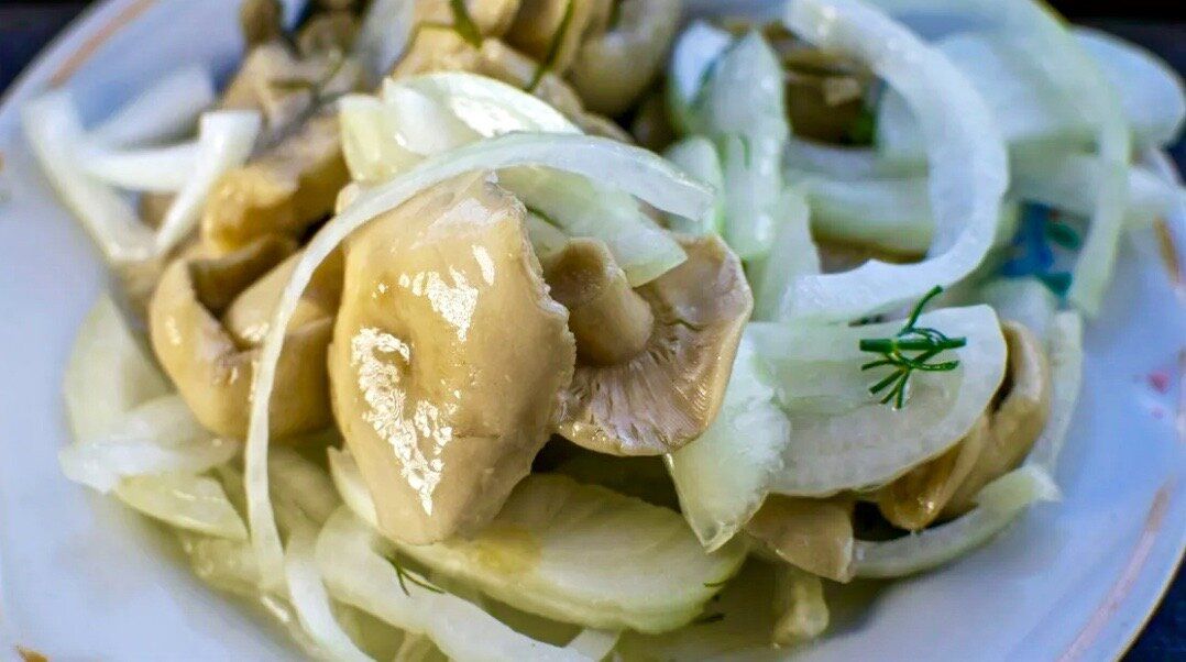 ������� �����: �������� ����������� � ������� ������