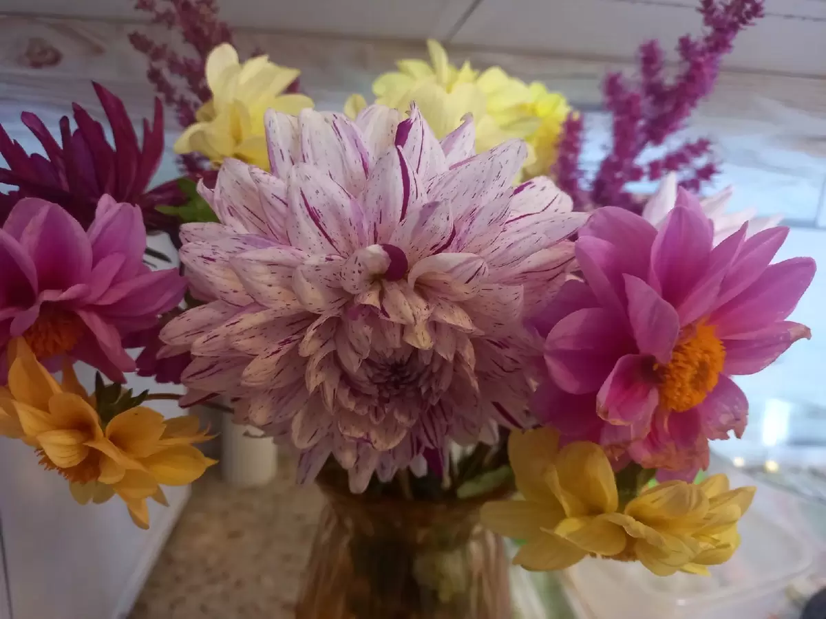 Как преодолеть стыд перед гостями из-за старого ремонта