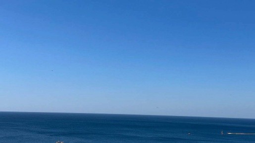 Тунец в Вирджинии: удивительная находка весом 379 килограммов