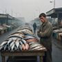 Рыба в России: почему цены поражают воображение