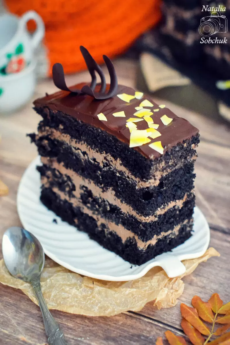 Завораживающее шоколадное пирожное "Южная ночь"