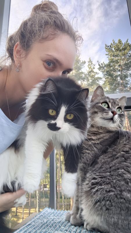 ����� � ���������: ��� �������� ������ ��������� �������� ��������