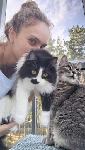 ����� � ���������: ��� �������� ������ ��������� �������� ��������