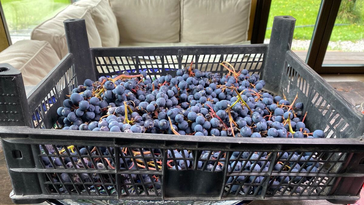 ��� ������� ������������ �������� ���� �� ���������