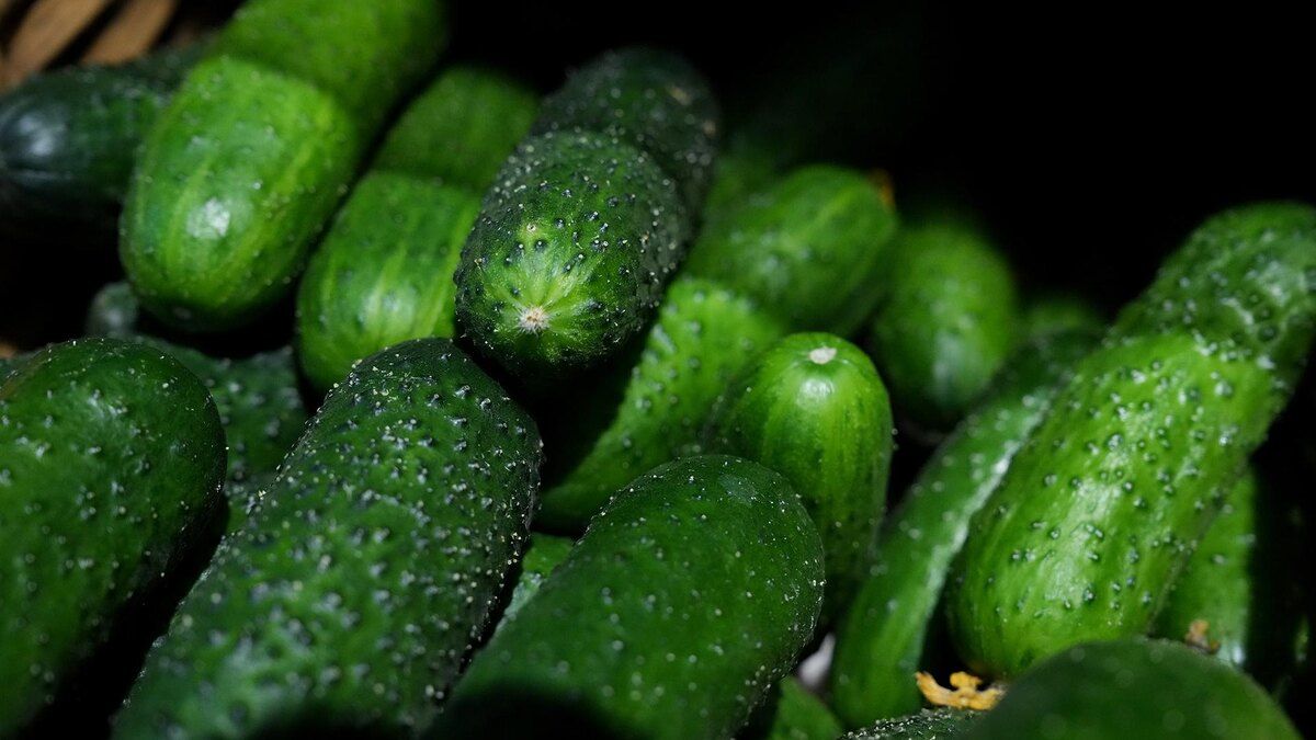 ������ ������ ����� ������ �����: ������� ������ � ������