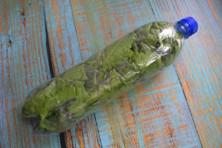 ������� ��������� ����������� �������: ������� ������ �� ����