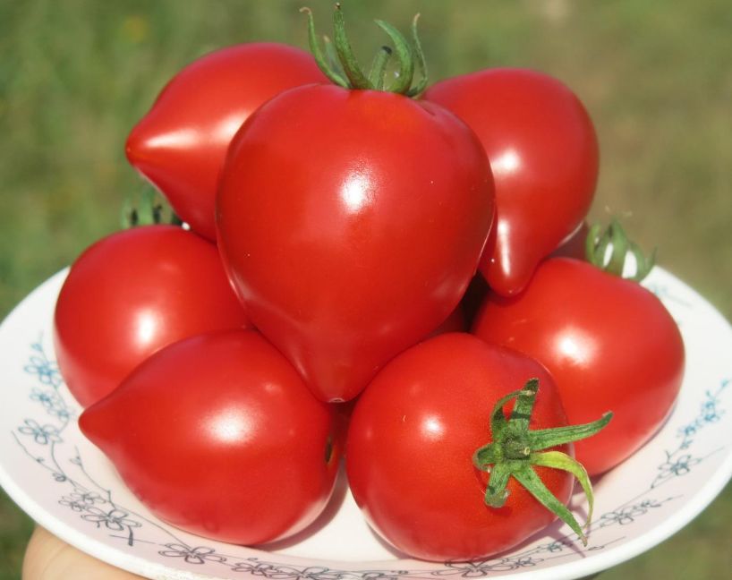 ������� ��������� ����������� ������: ���-7 ������ ��� ����