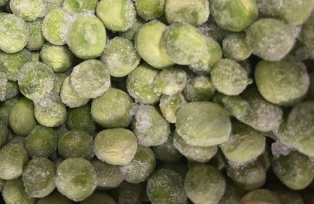 ������������ ����� � �����x ��� ������: ��������� ������ ��� �����