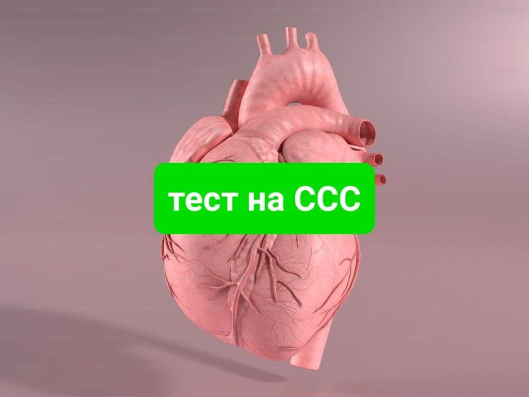 Как питание влияет на биологический возраст: освежите свой рацион для долголетия
