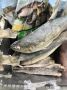 Как выбрать морскую рыбу: плюсы скумбрии, сельдки и лосося