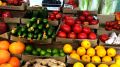 Здоровье кишечника: простые советы для каждого