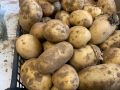 Почему не стоит покупать позеленевший картофель?